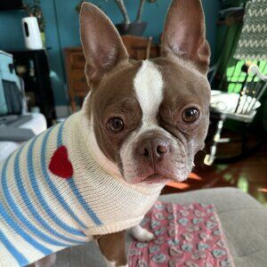 Meet your Posher, Alynn